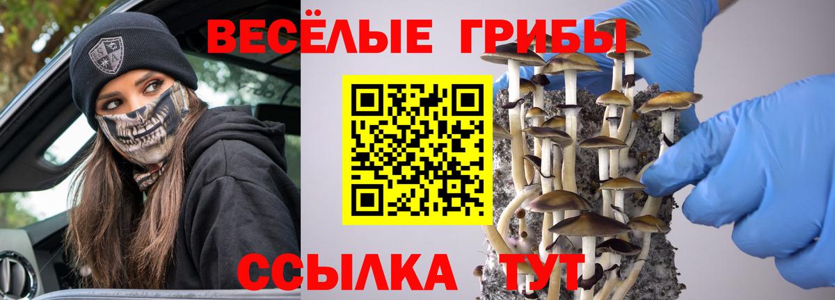 Псилоцибиновые грибы Magic Shrooms Моздок